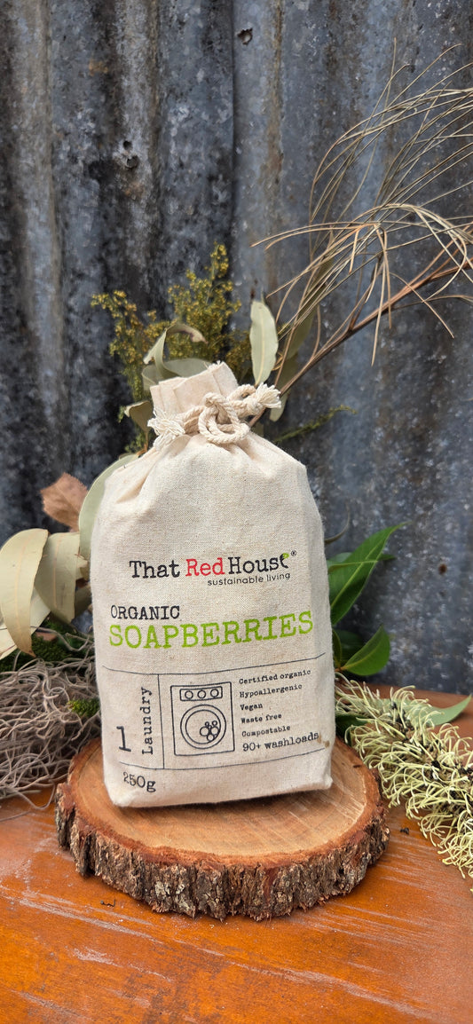 Organic Soapberries
